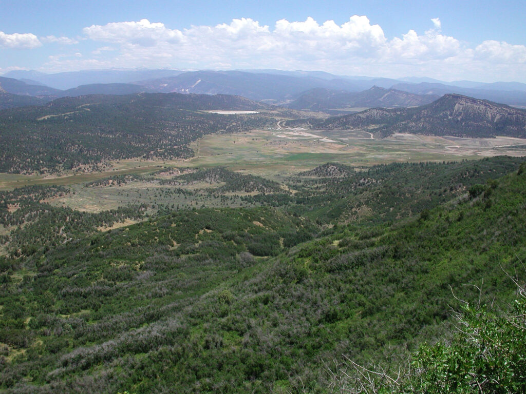 Aerial photo of mountain forest and fields