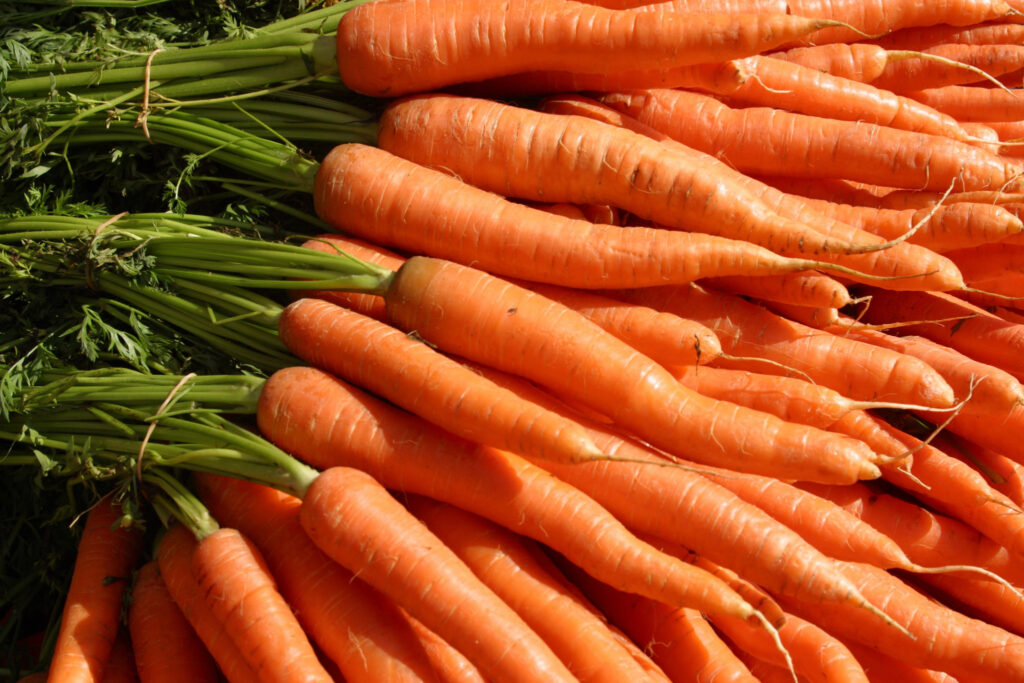 Photo closeup of a bundle of carrots