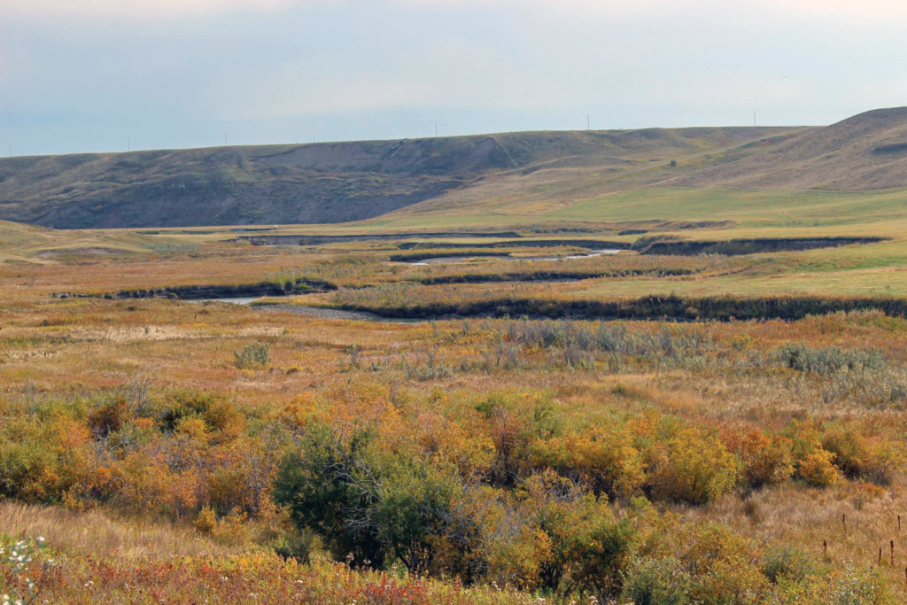 Photo of the Milk River flowing through a valley with hills in the background