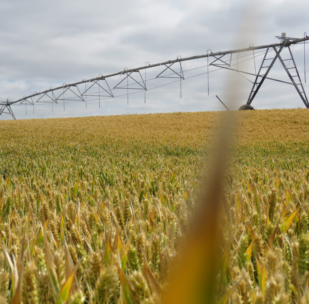Vanessa Winning of Irrigation New Zealand Bringing a Holistic