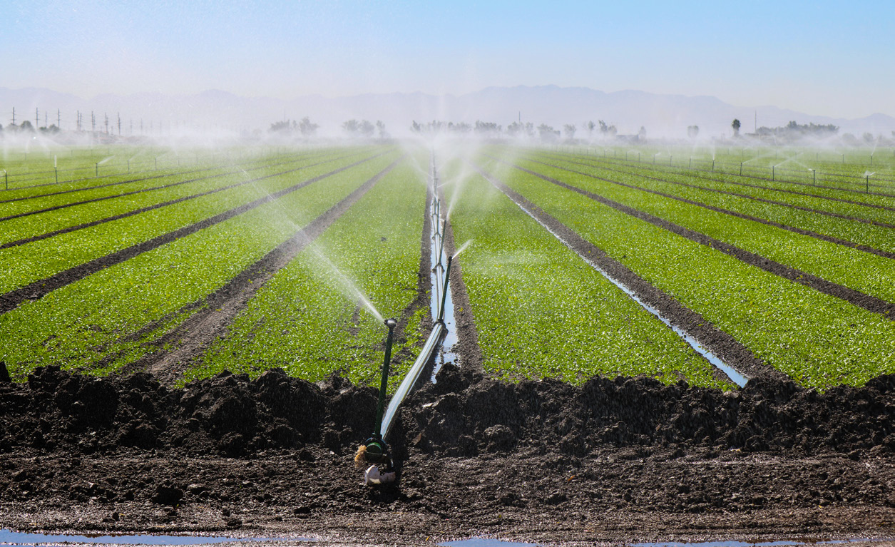 Henry Martinez Of The Imperial Irrigation District: Supporting 